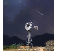 FLATLAND CAVALRY - WANDERING STAR - CD - J3z