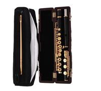 Flauta de estudiante Ebony And Gilded Flute