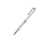 Flauta de estudiante Professional Flute Playing In The Key Of C