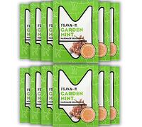 Flava-It Garden Mint Marinade, 35 g, Pack of 12