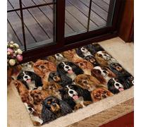 Flavas A Bunch Of Cavalier King Charles Spaniels Doormat Gift for Cavalier King Charles Spaniel Dog Lovers Doormat Door Rug Easy To Clean Entry Rugs for Entryway Patio,High Traffic Areas 36x24 Inch