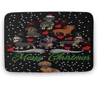 Flavas Dachshund Doormat,Funny Dachshund Doormat,House Warming Gift,Dachshund Lovers Gift,Dachshund Merry Christmas,Indoor Doormat,Front Back Door Mat 36x24 Inch