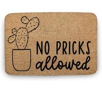 Flavas No Pricks Allowed Cactus Doormat,Funny Door Mat,Porch Decor Idea,Housewarming Gift,Gift for Plant Lover,Funny Door Mat Outdoor Decor,Indoor Doormat,Coral Velvet Doormat 30x18 Inch
