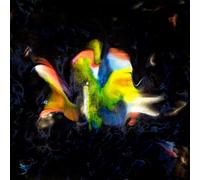 FLAVIEN BERGER - CONTREBAND 02: LE DISQUE DE L'T