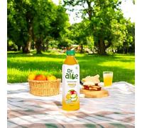 Flavoured Drink with Real Aloe Pieces Vegan Drink (12, Exotic Mango)