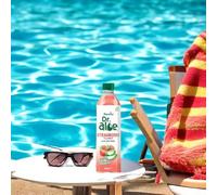 Flavoured Drink with Real Aloe Pieces Vegan Drink (24, Strawberry)