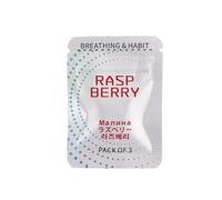 Flavoured Inner Filter Packs, 2025 New Thicker Deeper Flavoured Air Breathlace Filter Natural Essential Oil Breathing Filter(Raspberry)