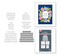 Spellbinders Flawless Sentiments Press Plate & Die Set from The Gorgeous You Collection