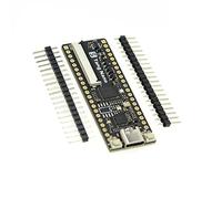 Flcivsh 1Pcs Tang Nano Minimalist FPGA Development Board Straight Insert Breadboard Accessory