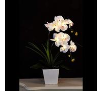 FLCSIed Floristlighting LED Lighted Artificial Orchid Arrangement-Battery Operated Orchid Pot with 9 Lights (White)