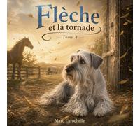 Flèche et la tornade (Les aventures de Flèche)