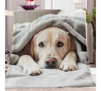 Fleece Blanket Gray And Yellow Throw Versatile Soft Warm Blanket Fluffy Throws Bed 50 x 60 inch Size, Cozy Solid Flannel Blanket for autumn and winter sofa bed, Labrador dog lying on the bed
