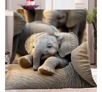 Fleece Blanket Gray Throw Versatile Soft Warm Blanket Fluffy Throws Bed 59 x 79 inch Size, Cozy Solid Flannel Blanket for autumn and winter sofa bed, Playful elephant on ground