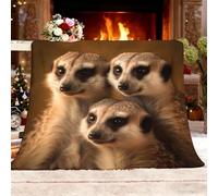 Fleece Blanket Throw Blanket Sherpa Fluffy Flannel Double 150x200cm Animal Meerkat Family Soft Warm Cozy Throw Blankets Bedding Blanket Light Brown for Bedroom Living Rooms Office