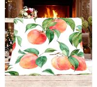 Fleece Blanket Throw Blanket Sherpa Fluffy Flannel Small Single 100x130cm Simple Watercolor Peach Soft Warm Cozy Throw Blankets Bedding Blanket White for Bedroom Living Rooms Office