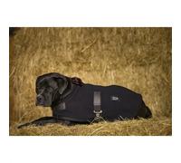 Fleece dog Blanket Diego & Louna Teddy