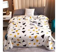 Fleece Plush Heavy Korean Mink Blanket Twin Size 150x200cm 2kg Silky Soft and Warm 2 Ply A&B Printed Raschel Bed Throw