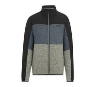 Fleece Regatta Elram Gris 3XL