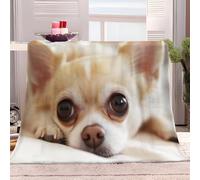 Fleece Throw Blanket 150x200 cm Animal Chihuahua Fluffy Soft Couch Settee Blanket Warm Cosy Bed Blanket Travel Blankets for Bedroom Living Rooms Office