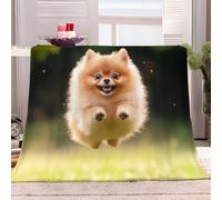 Fleece Throw Blanket Animal Pomeranian Cute 130x150 cm Sherpa Fleece Blanket, Soft Fluffy Warm Sofa Throw and Bed Blankets, 3D Print Versatile Blanket, Fit All Season