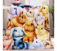 Fleece Throw Blankets Single, Soft Cozy Blankets - Animal Dutch Rabbit Theme for Kid Adults, Lightweight Fuzzy Throw Blanket for Couch Sofa Bed Office, Summer Fall Air Conditioning Blankets