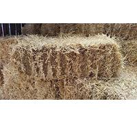 Fleet Farm Barley Straw Bale - Feed Quality. Full Bale, approx 35in x 15in x 14in, 18kg. Next Day DPD Delivery.