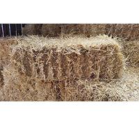 Fleet Farm® Handy Size Barley Straw Bale - Feed Quality (90cm x 50cm x 40cm)