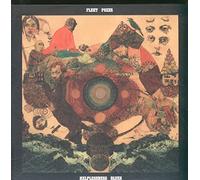 Fleet Foxes - Helplessness Blues