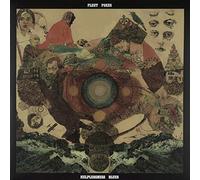 Fleet Foxes - Helplessness Blues [VINYL]