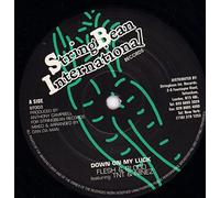 Flesh and Blood Featuring Tnt and Ninez - Down On My Luck