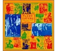 Flesh Eaters - Destroyed By Fire