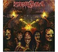 FLESHCRAWL - AS BLOOD RAINS FROM THE SKY, WE WALK THE ENDLESS P
