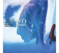 Fleshwater 2000: In Search of the Endless Sky (Vinyl) (US IMPORT)