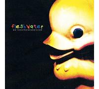 FLESHWATER - WE'RE NOT HERE TO BE LOVED - CD - J3z