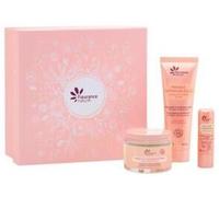Fleurance Nature Intense Nutrition Box Cream+Mask+Lipstick