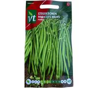 Satelit Beans - Tasty extra fine pods - 25 g - Seeds per gram: 7