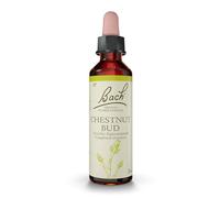 Fleurs de Bach Original Chestnut Bud 20ml
