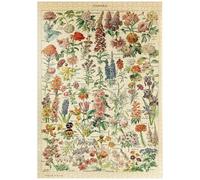 Fleurs - Flowers For All, Vintage Art Poster, Adolphe Millot - Premium 1000 pieces Puzzle - MyPuzzle special collection from Havana Puzzle Company