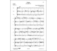 FLEX EDITIONS ALBINONI T. - ADAGIO - RECORDER TRIO Classical sheets Transverse Flute
