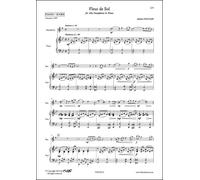 FLEX EDITIONS NAULAIS J. - FLEUR DE SOL - ALTO SAXOPHONE AND PIANO Classical sheets Saxophone