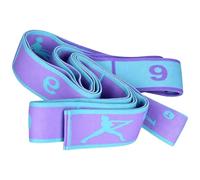 Flex Rhythm - Stretch Bands for Training | Level Resistance Set Featuring Number Markings Adjustable Tension Skin Friendly Material Tear Resistant Design with Carry Pouch for Pilates Yoga