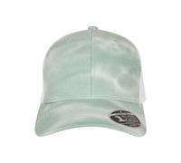 Flexfit 110 Batik mesh Cap Baseball, Mint, One Size