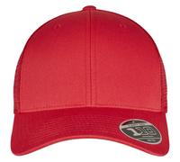 Flexfit 110 Cap