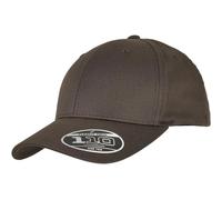 Cap Urban Classics Flexfit 110 Gris TU
