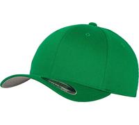 Flexfit By Yupoong Flexfit Fitted Baseball Cap (6277)