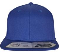 Flexfit Cap 110 Fitted Snapback
