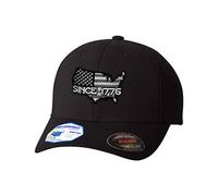 Flexfit Hats for Men & Women America Since 1776 Embroidery Dad Baseball Cap, Black, S-M