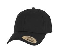 Flexfit Low Profile Baseball Cap PC7895