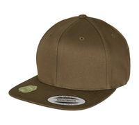 Flexfit Organic Cotton Cap