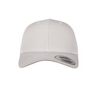 Flexfit Snapback Unisex Baseball-Mütze | Trucker Kappe Mesh Basecap, Silber (silver), Gr. One size